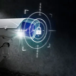 24x7 Security Amenity